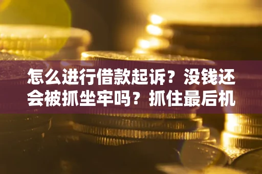 济南怎么进行借款起诉？没钱还会被抓坐牢吗？抓住最后机会！