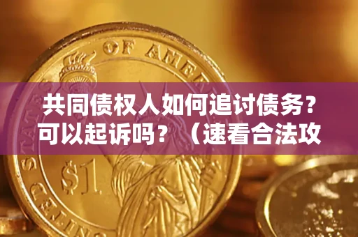 济南共同债权人如何追讨债务？可以起诉吗？（速看合法攻略）