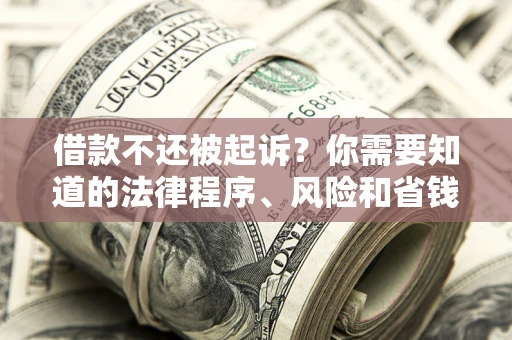 济南借款不还被起诉？你需要知道的法律程序、风险和省钱技巧